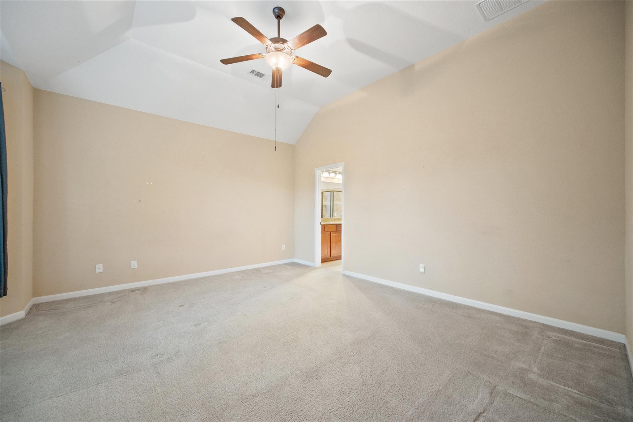 5013 Pyrenees PASS