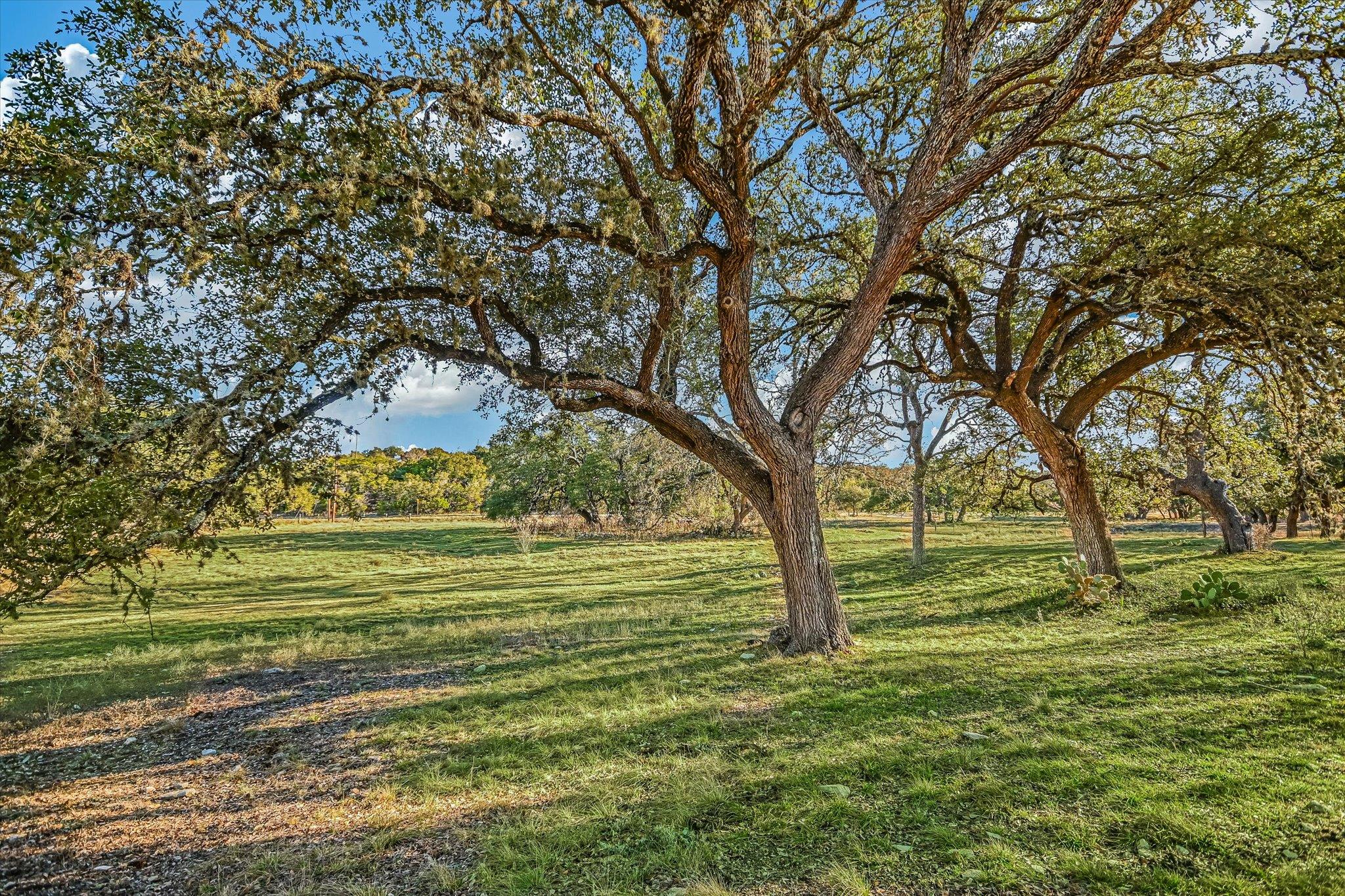 4698 FISCHER STORE RD