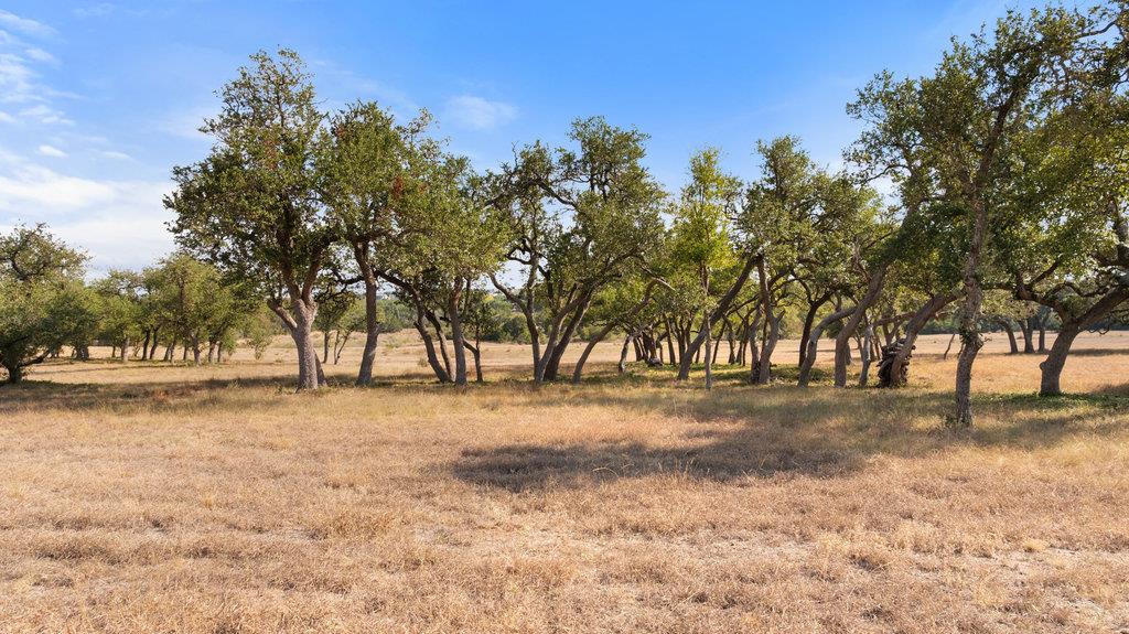 18601 Madrone Vista DR, Austin