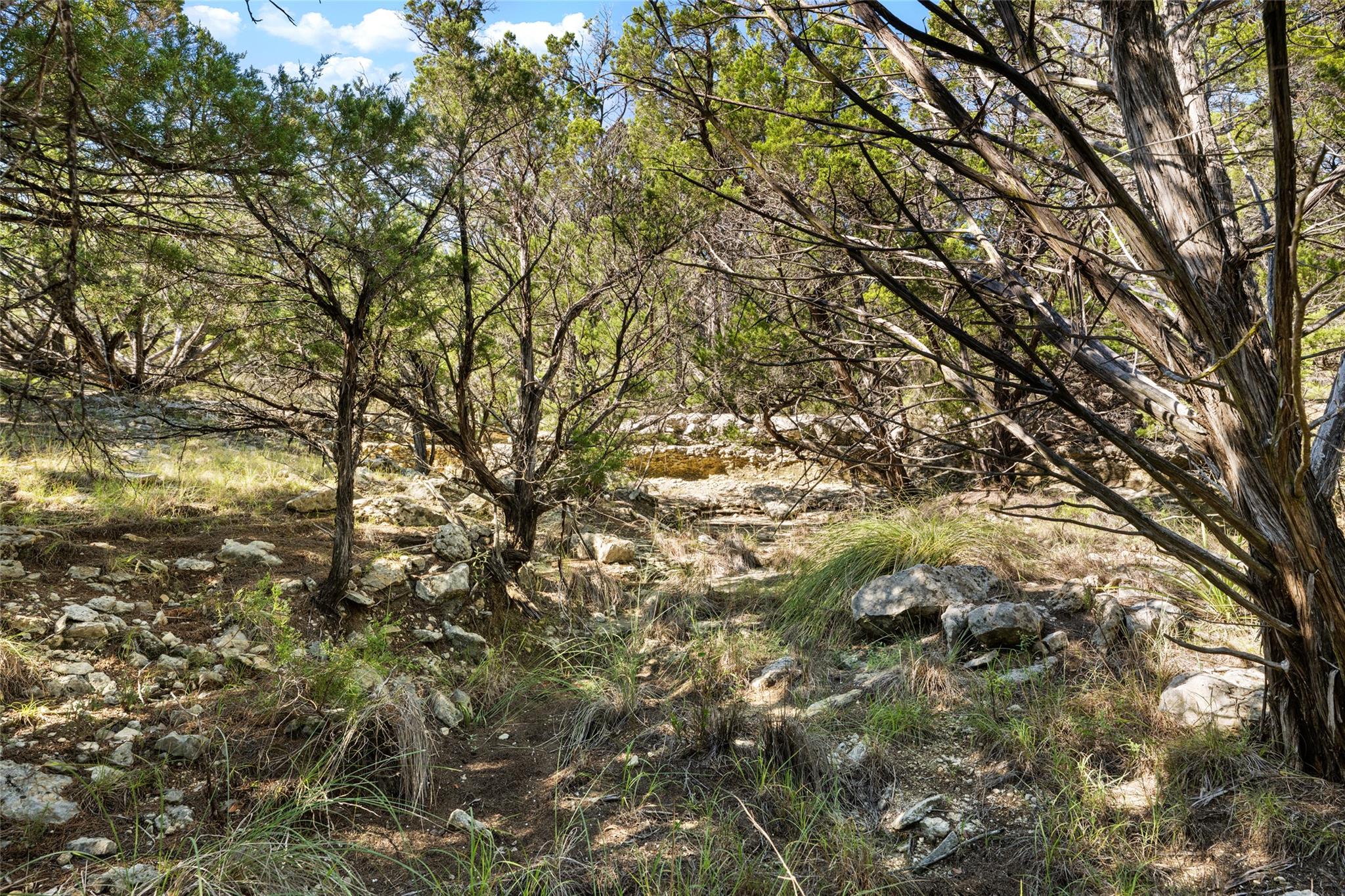 TBD Stagecoach Ranch RD