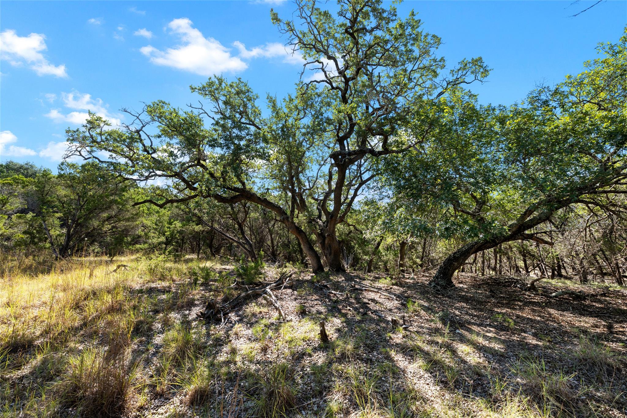 TBD Stagecoach Ranch RD