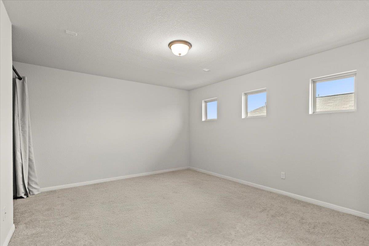 213 Munk LN