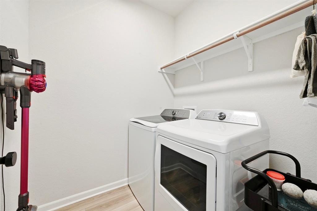 870 Texas Sage LOOP
