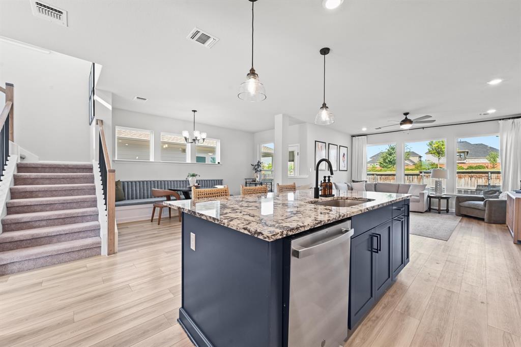 870 Texas Sage LOOP