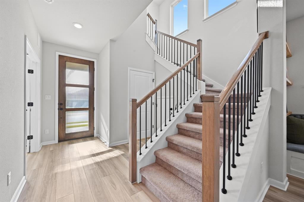 870 Texas Sage LOOP