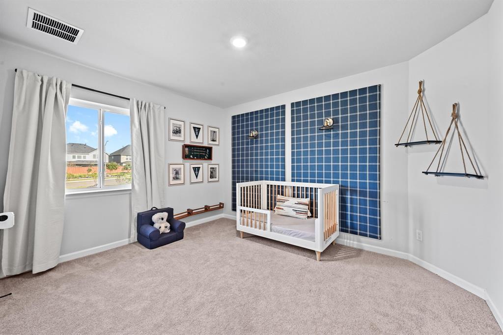 870 Texas Sage LOOP