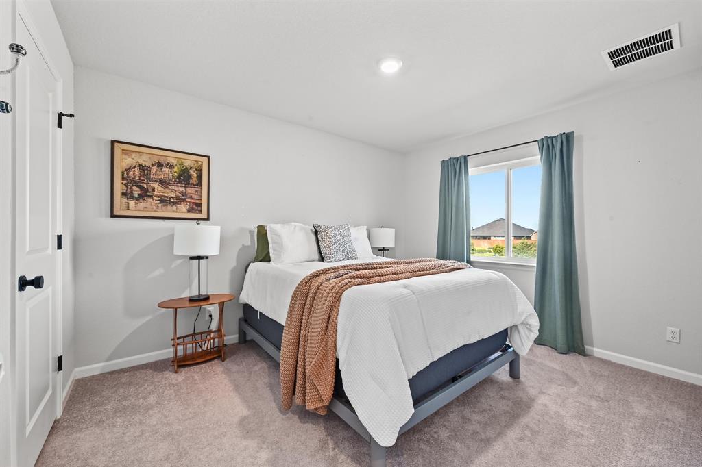 870 Texas Sage LOOP