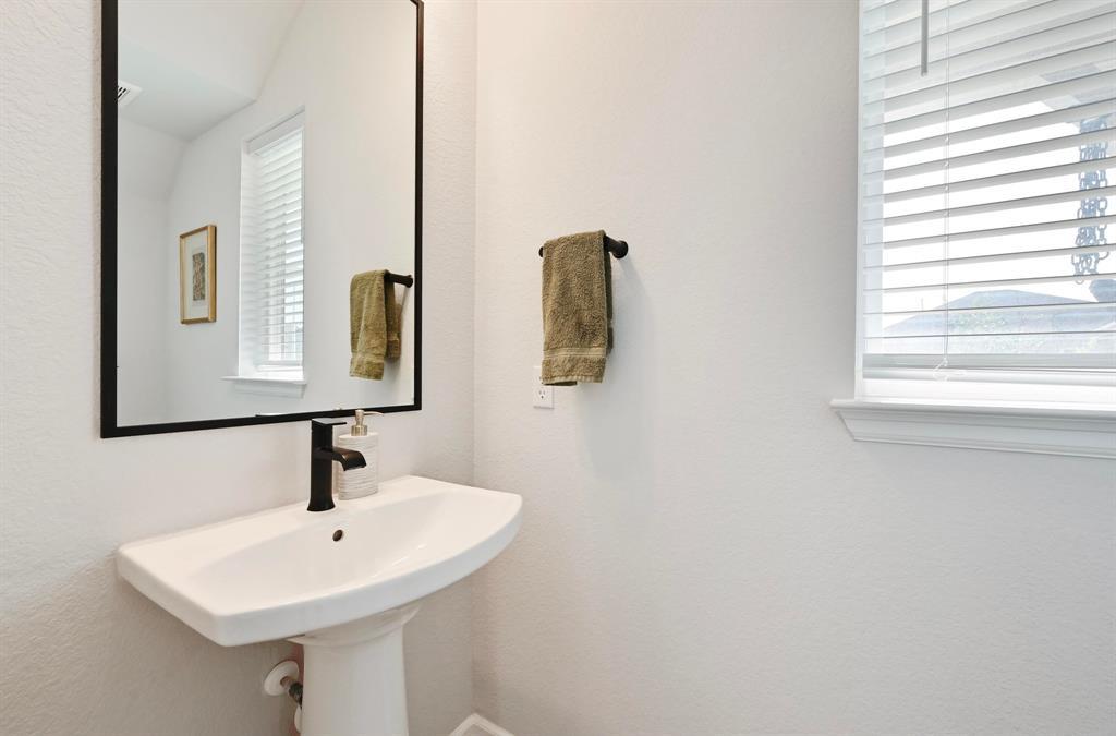 870 Texas Sage LOOP