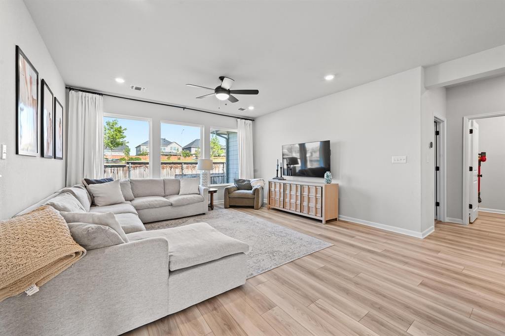870 Texas Sage LOOP