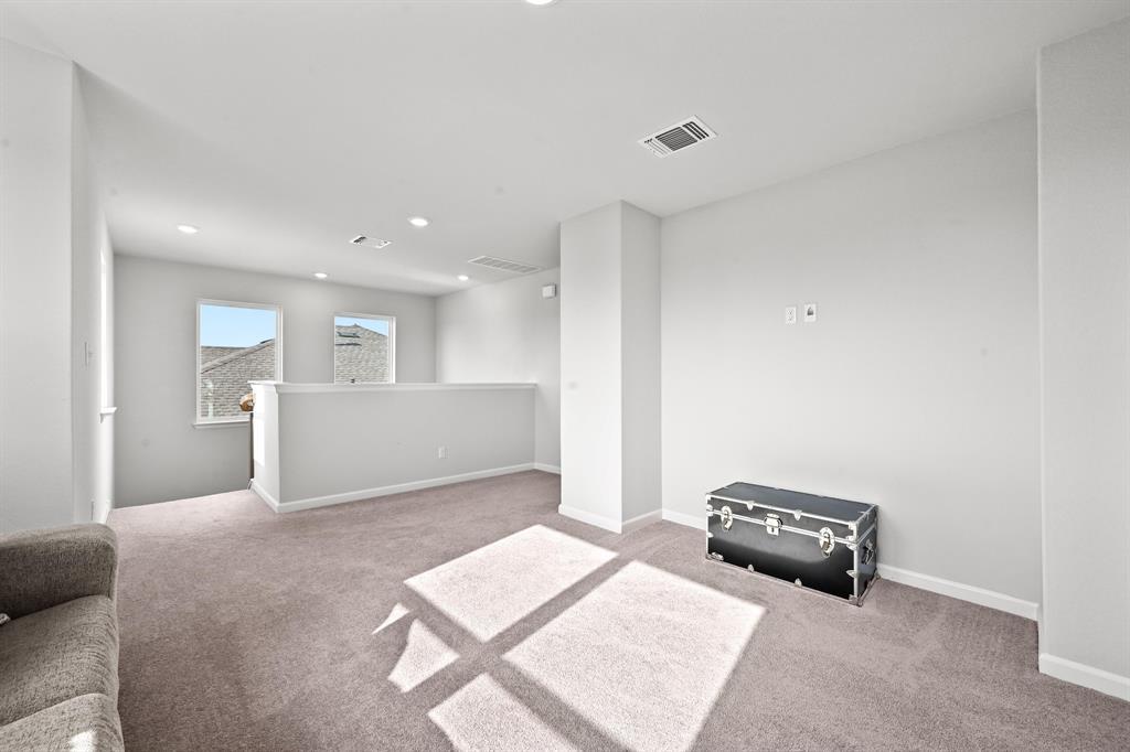 870 Texas Sage LOOP