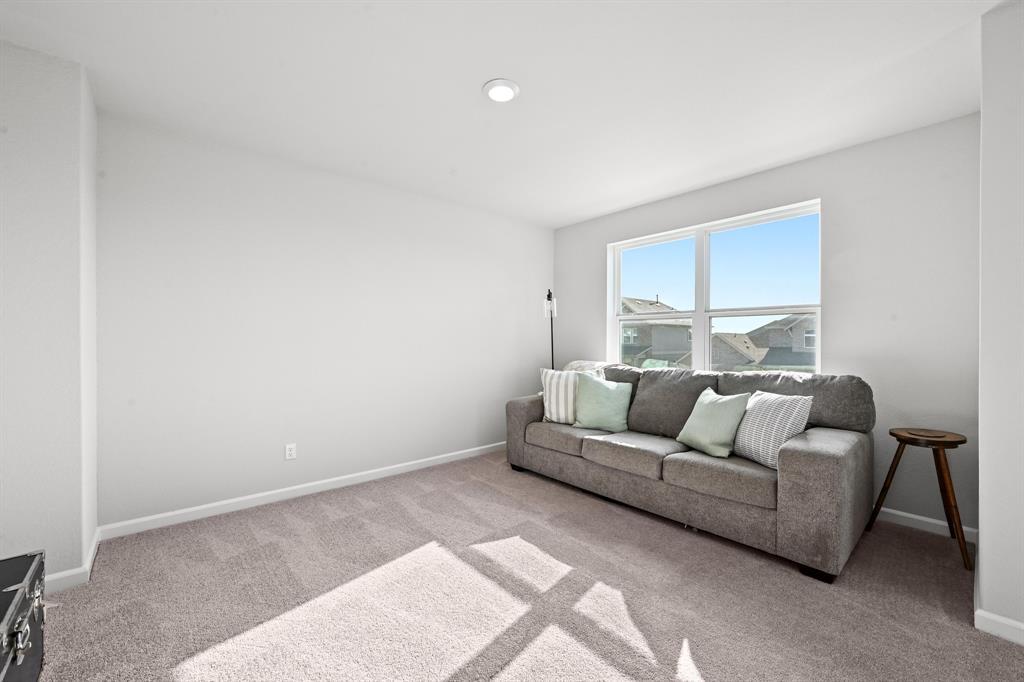 870 Texas Sage LOOP