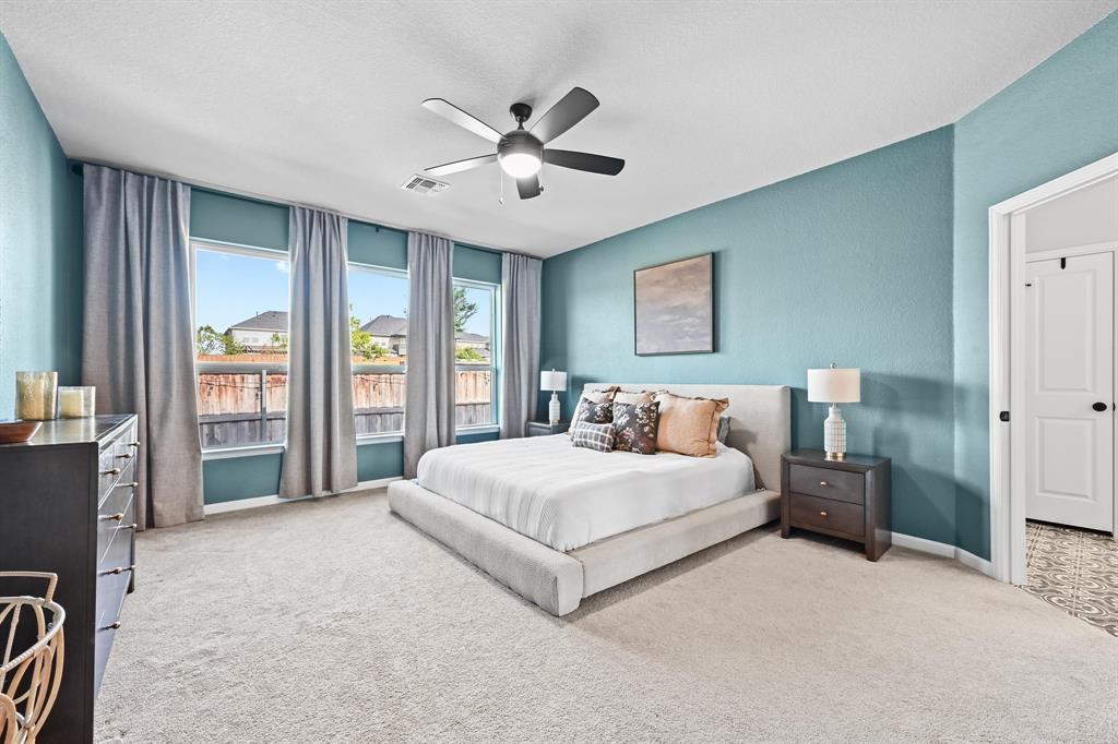 870 Texas Sage LOOP