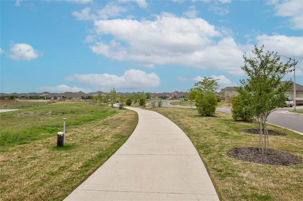 870 Texas Sage LOOP