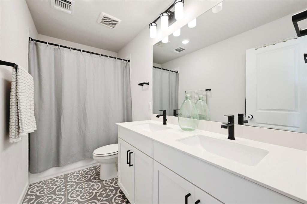 870 Texas Sage LOOP