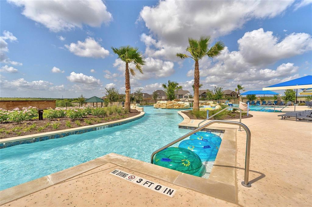 870 Texas Sage LOOP