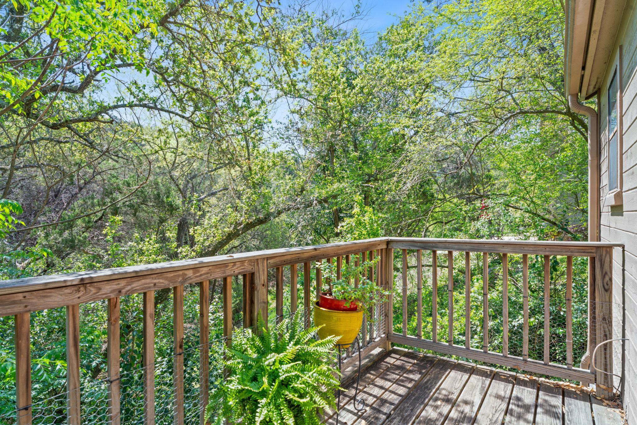 6513 Cat Creek TRL