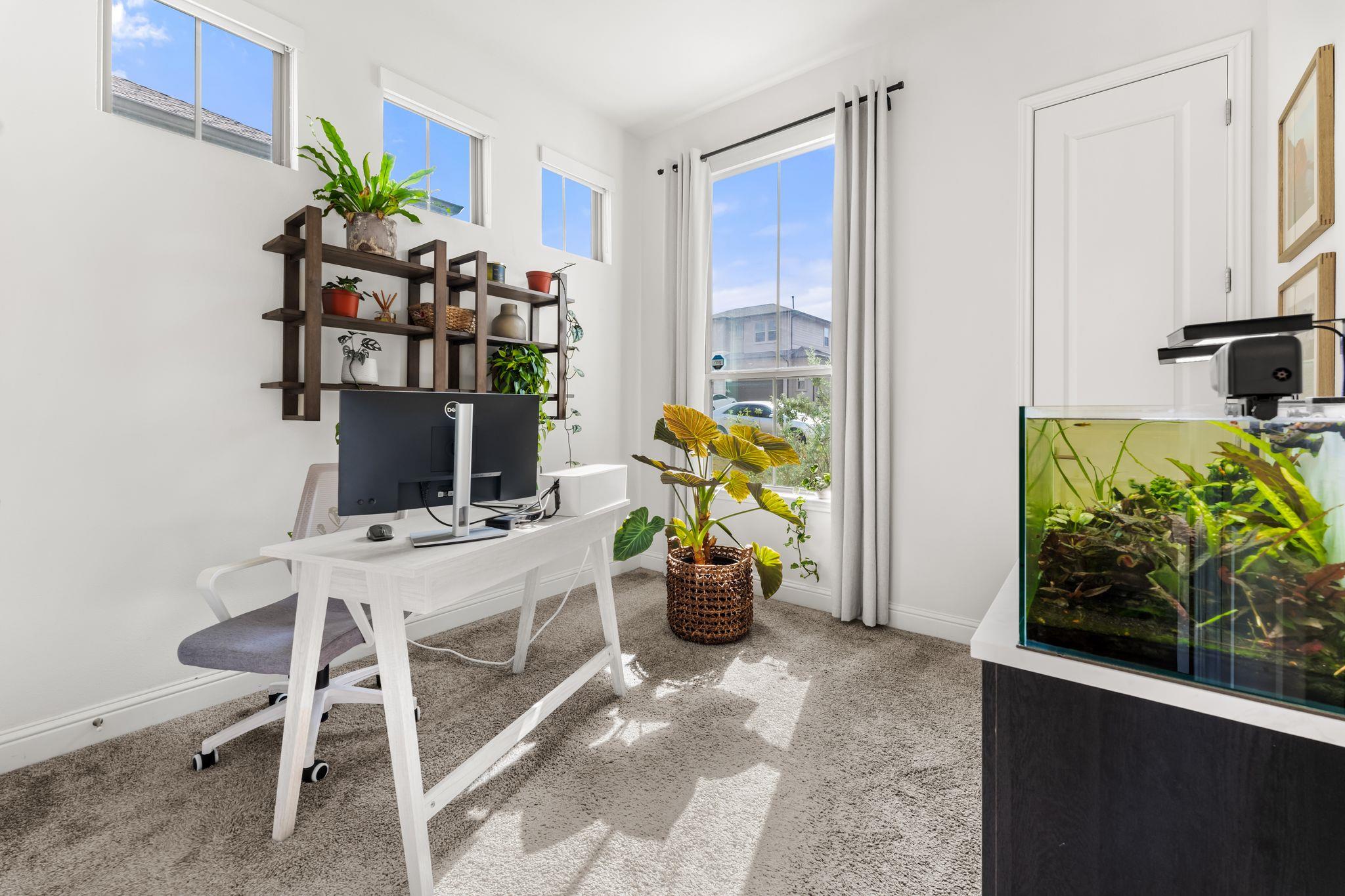 13129 Cardinal Flower DR