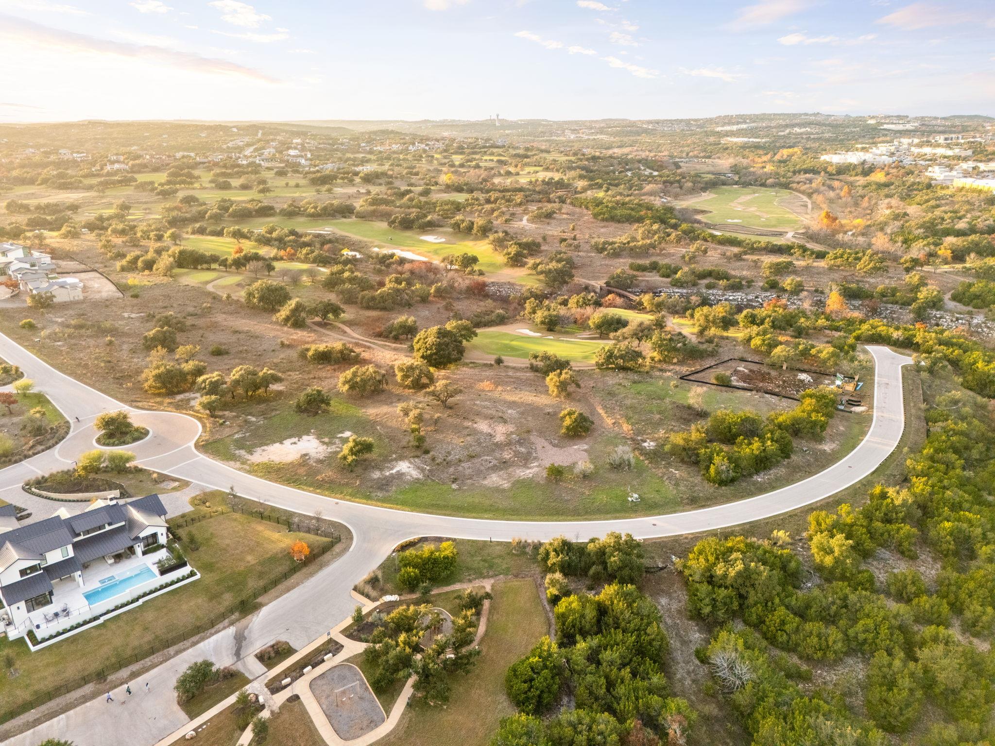 12901 Flowering Senna BND