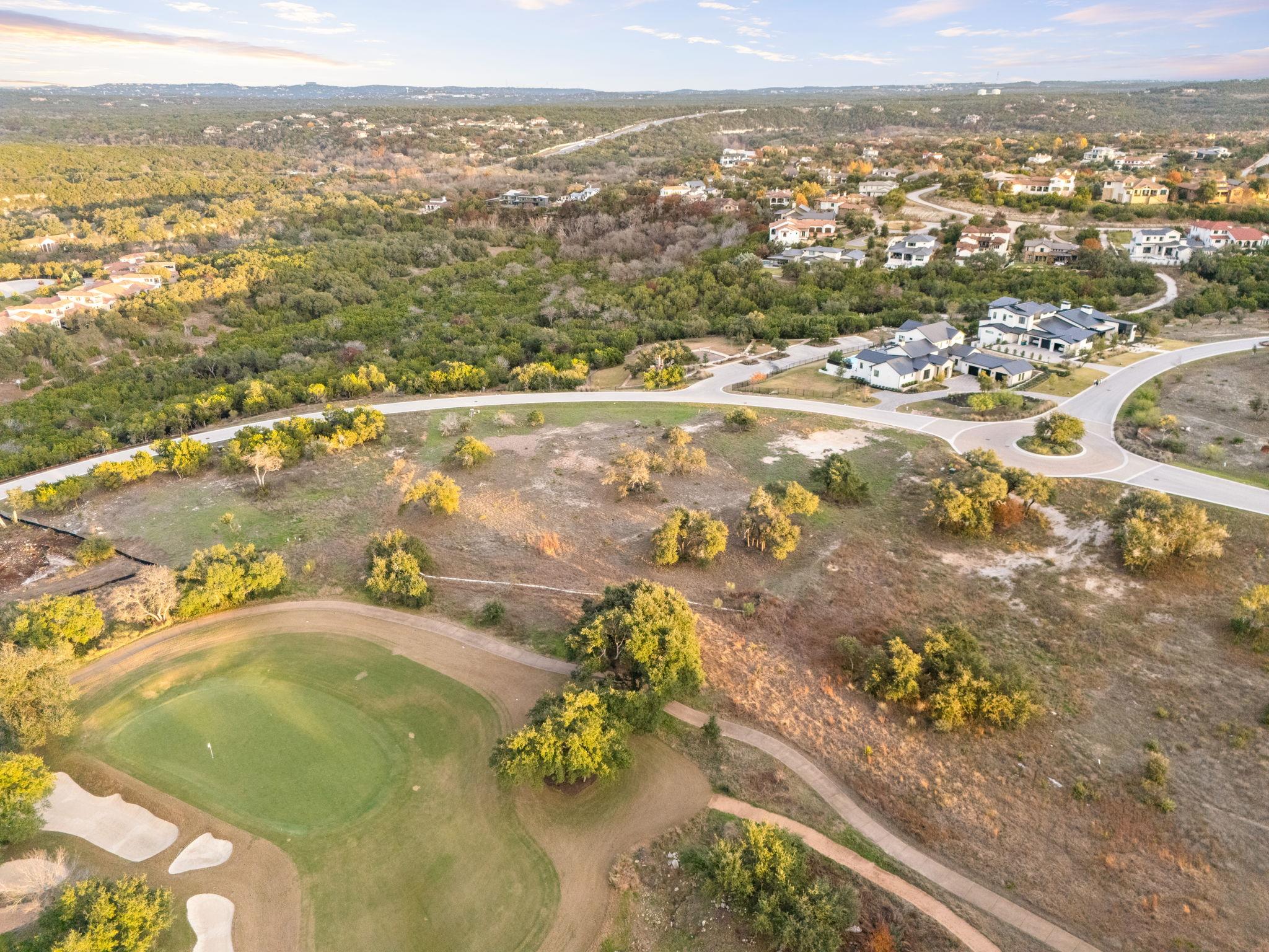 12901 Flowering Senna BND