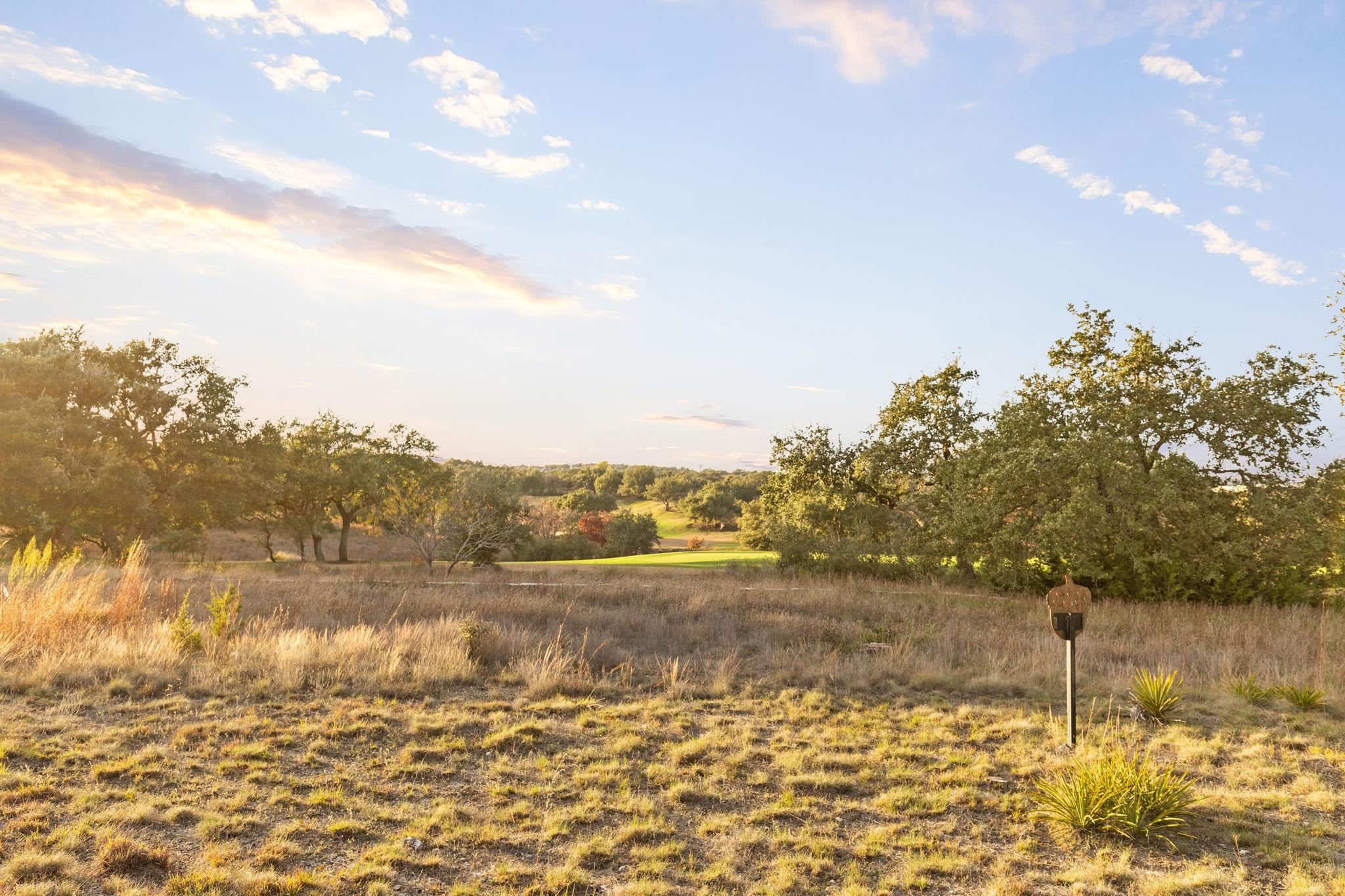 12901 Flowering Senna BND