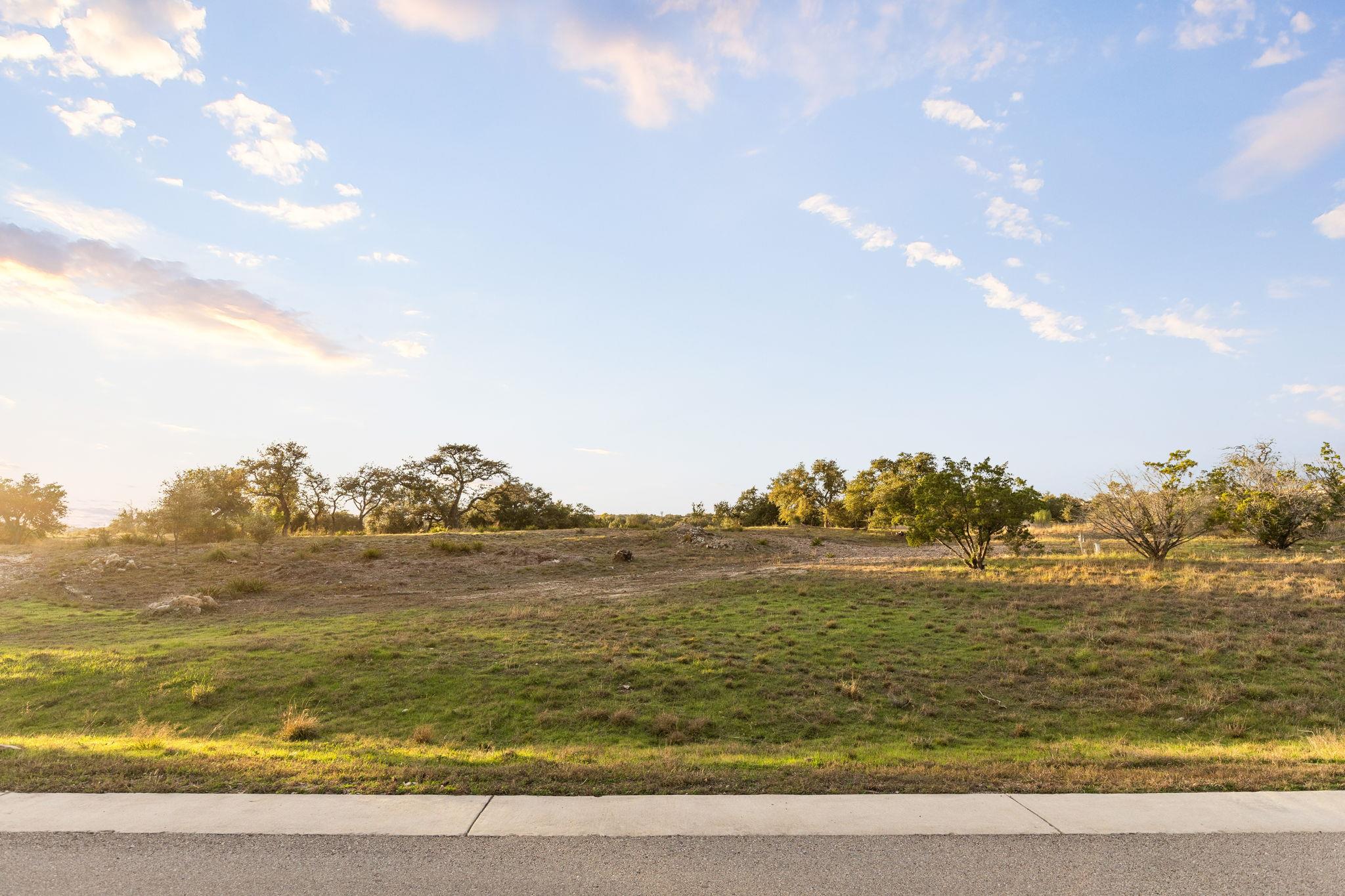 12901 Flowering Senna BND