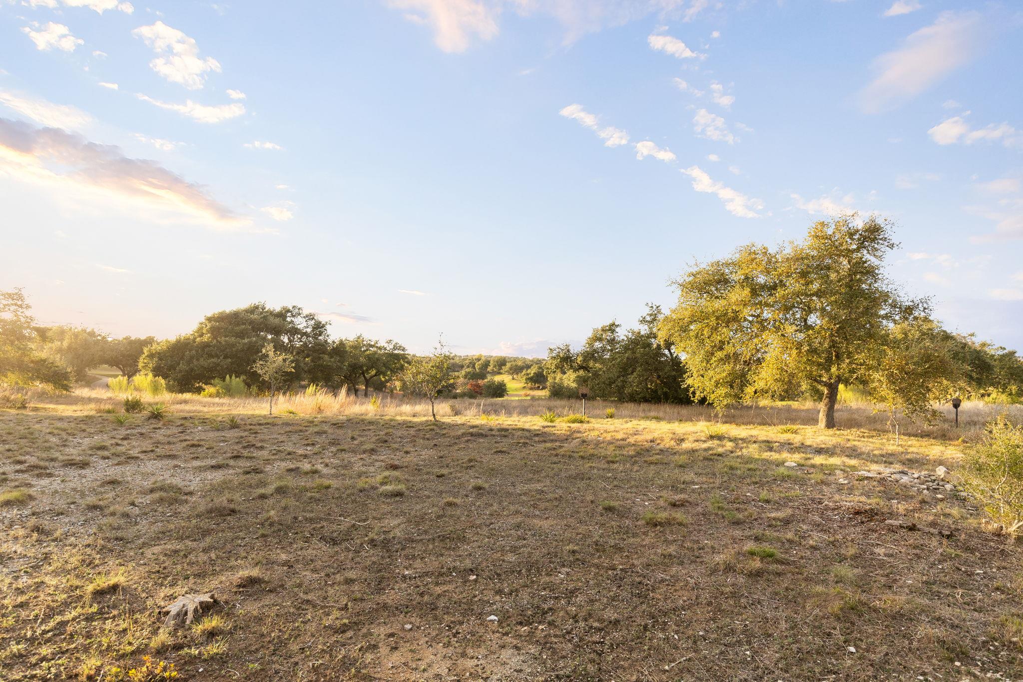 12901 Flowering Senna BND