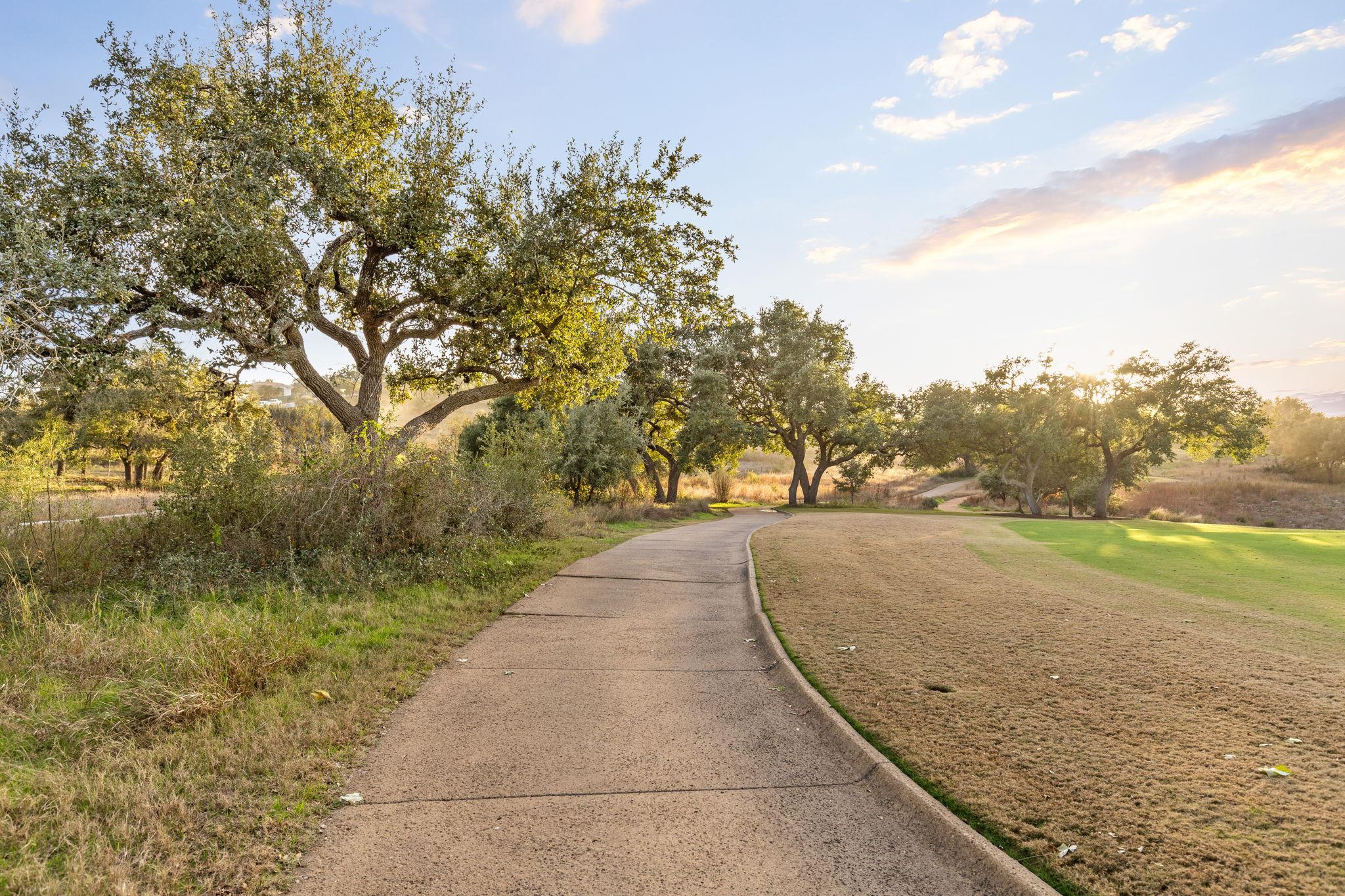 12901 Flowering Senna BND