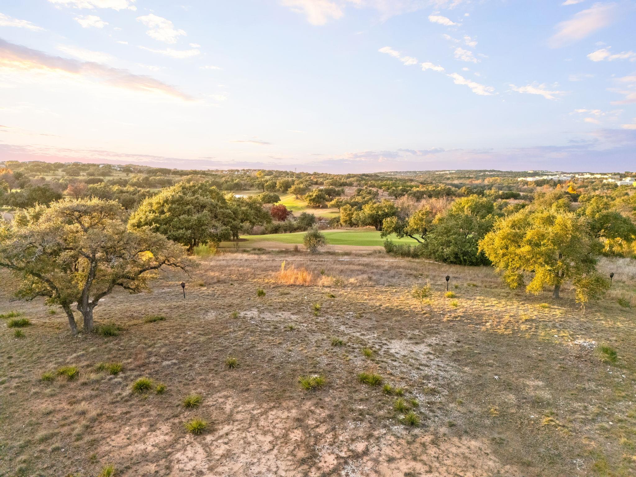 12901 Flowering Senna BND