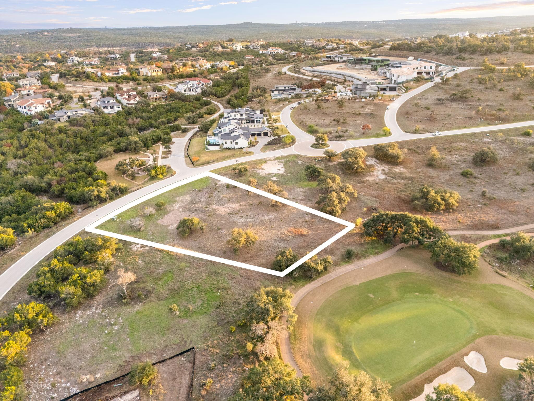 12901 Flowering Senna BND