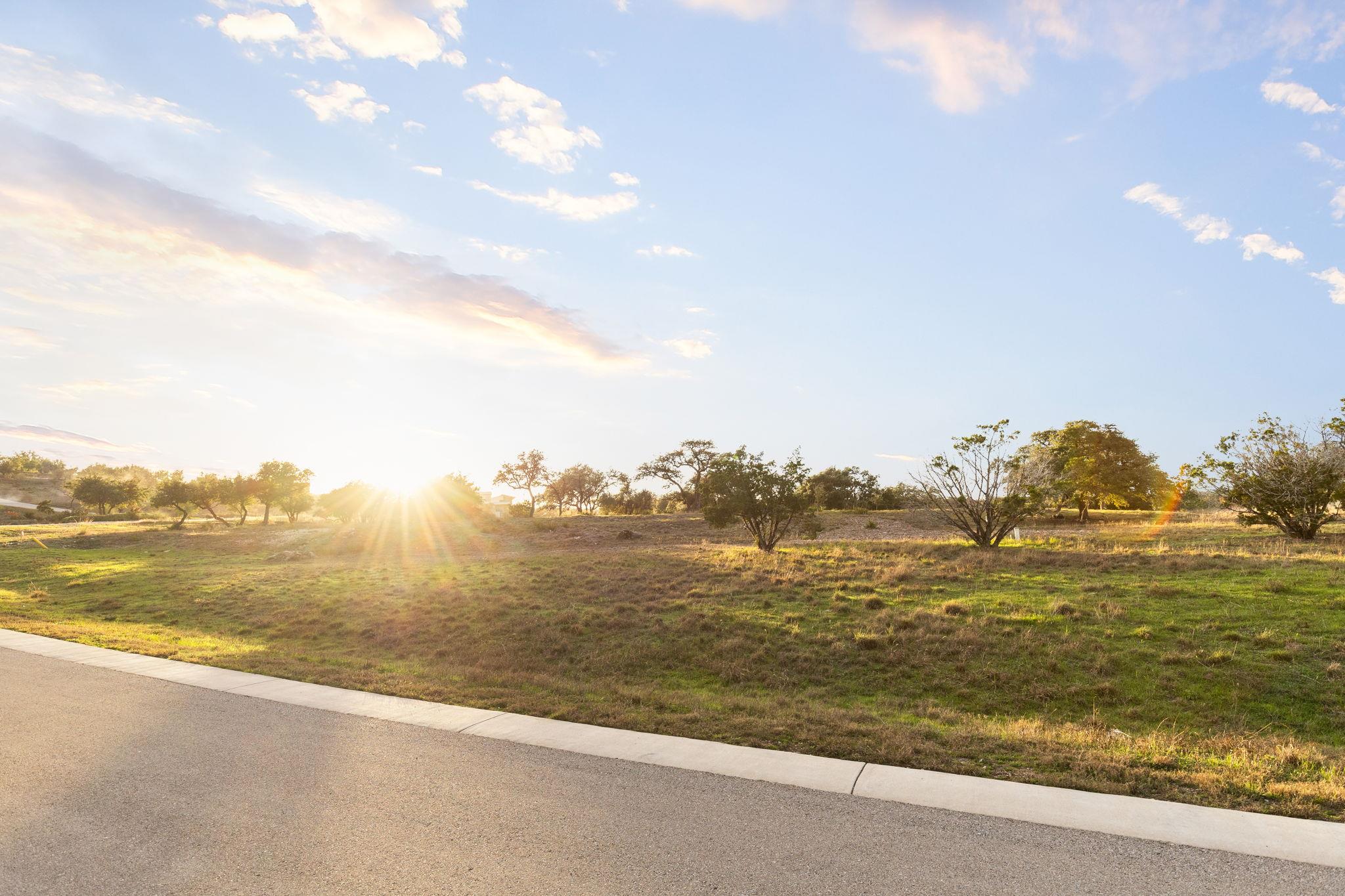 12901 Flowering Senna BND