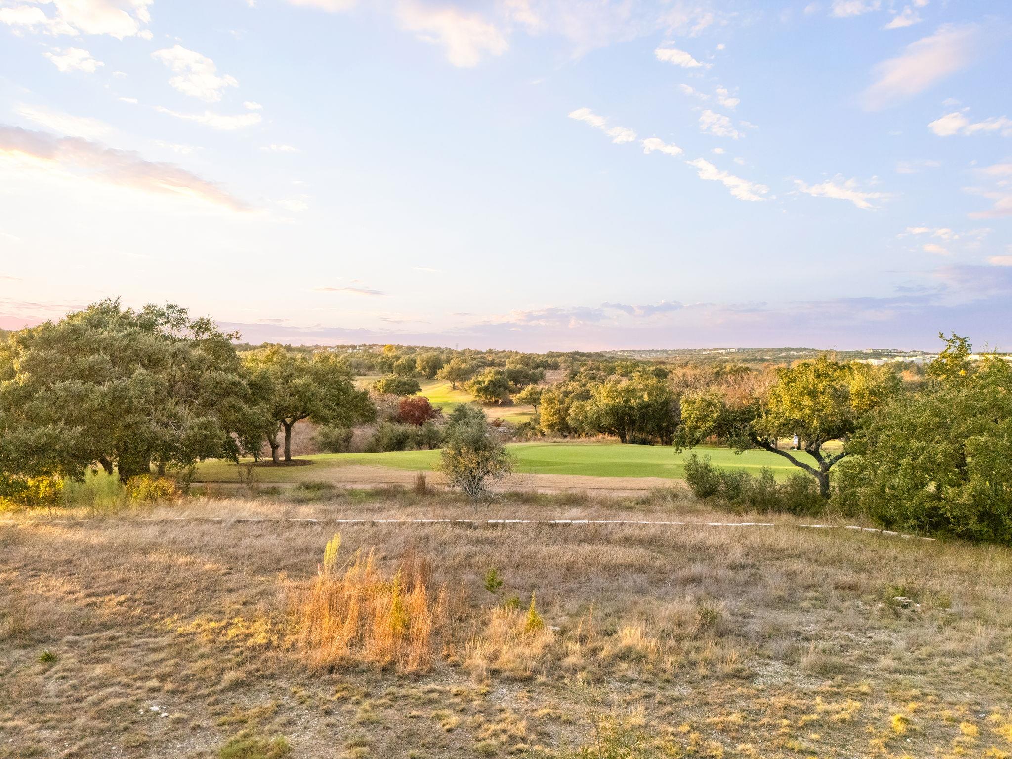 12901 Flowering Senna BND