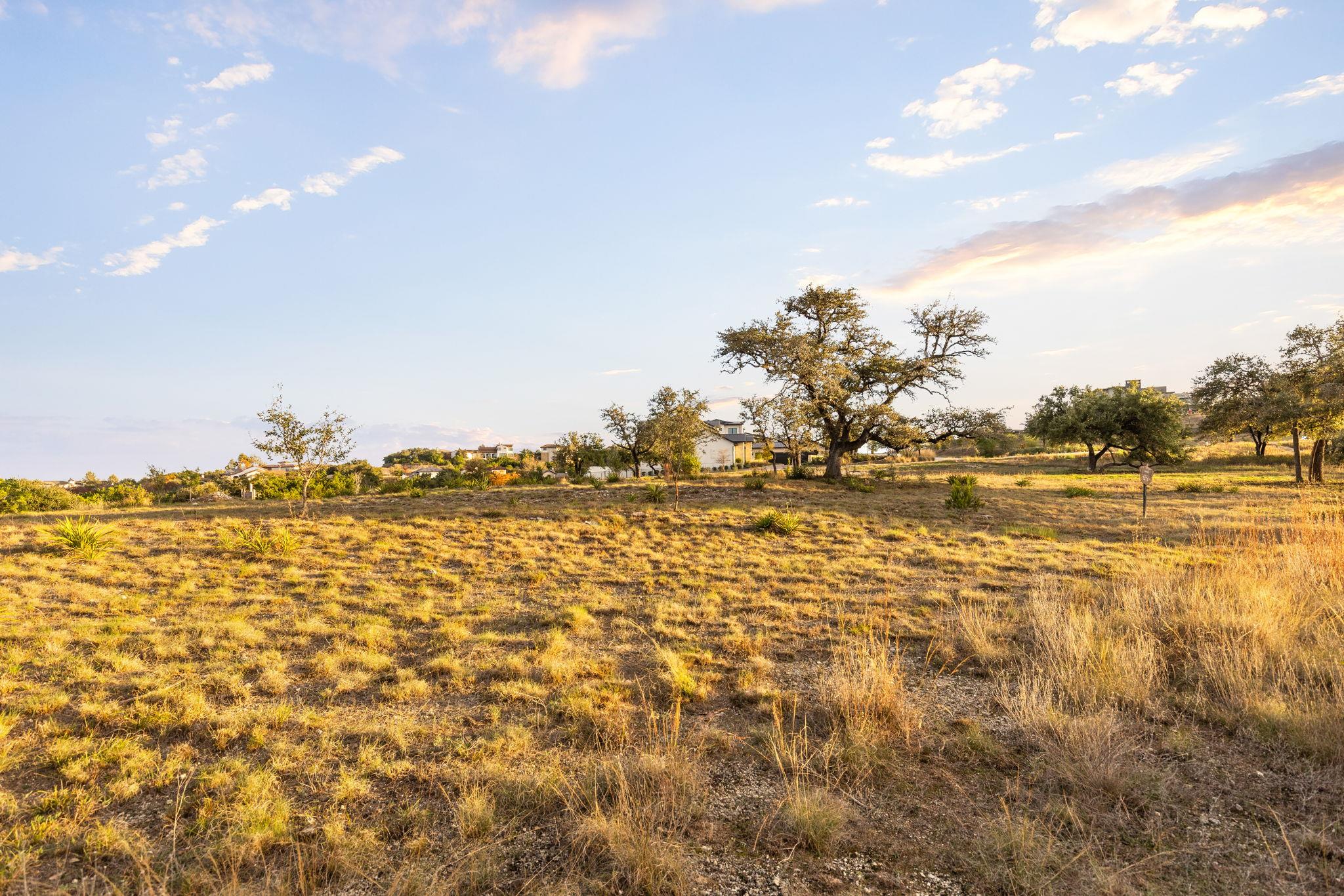 12901 Flowering Senna BND
