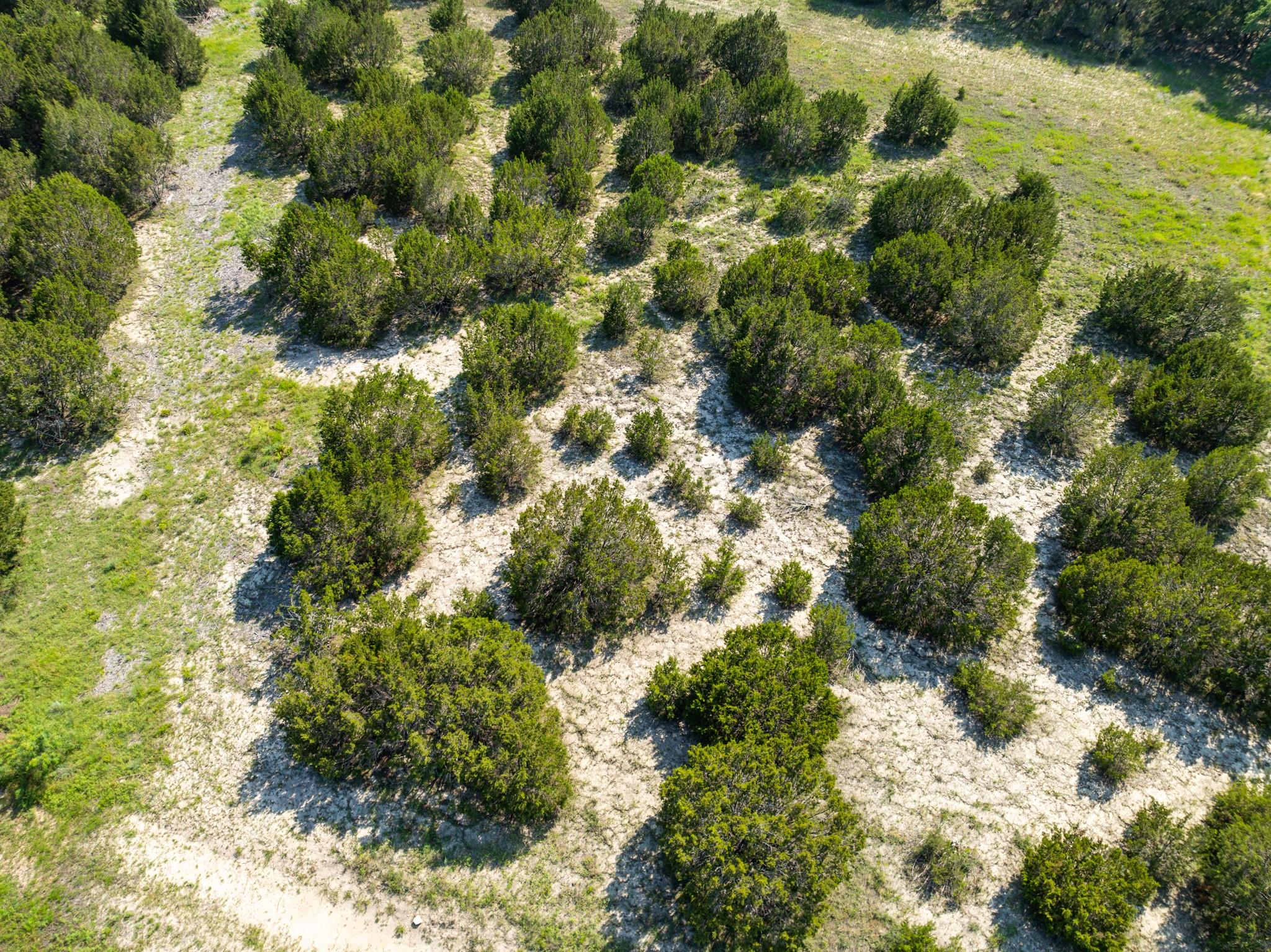 Lots 55-57 Shin Oak DR