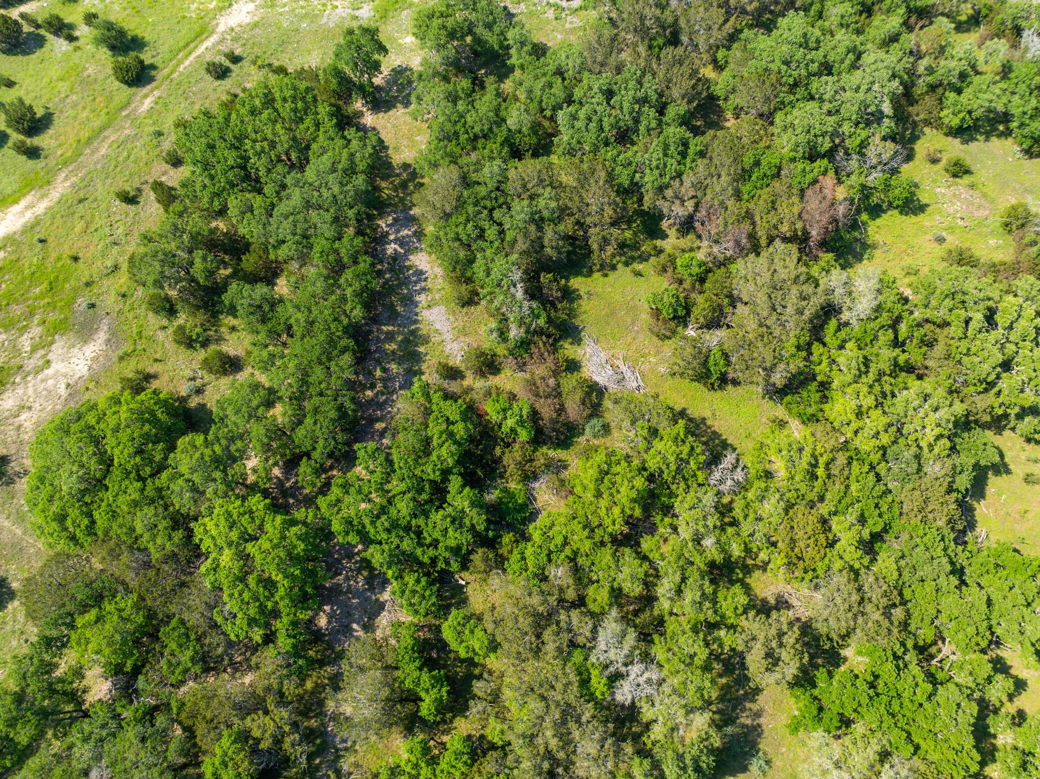 Lots 55-57 Shin Oak DR