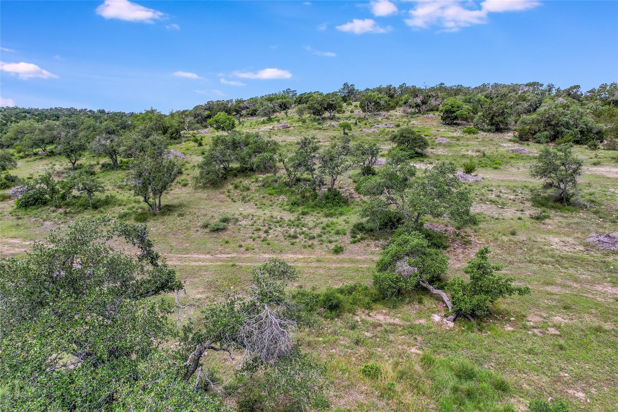 8 Newman DR