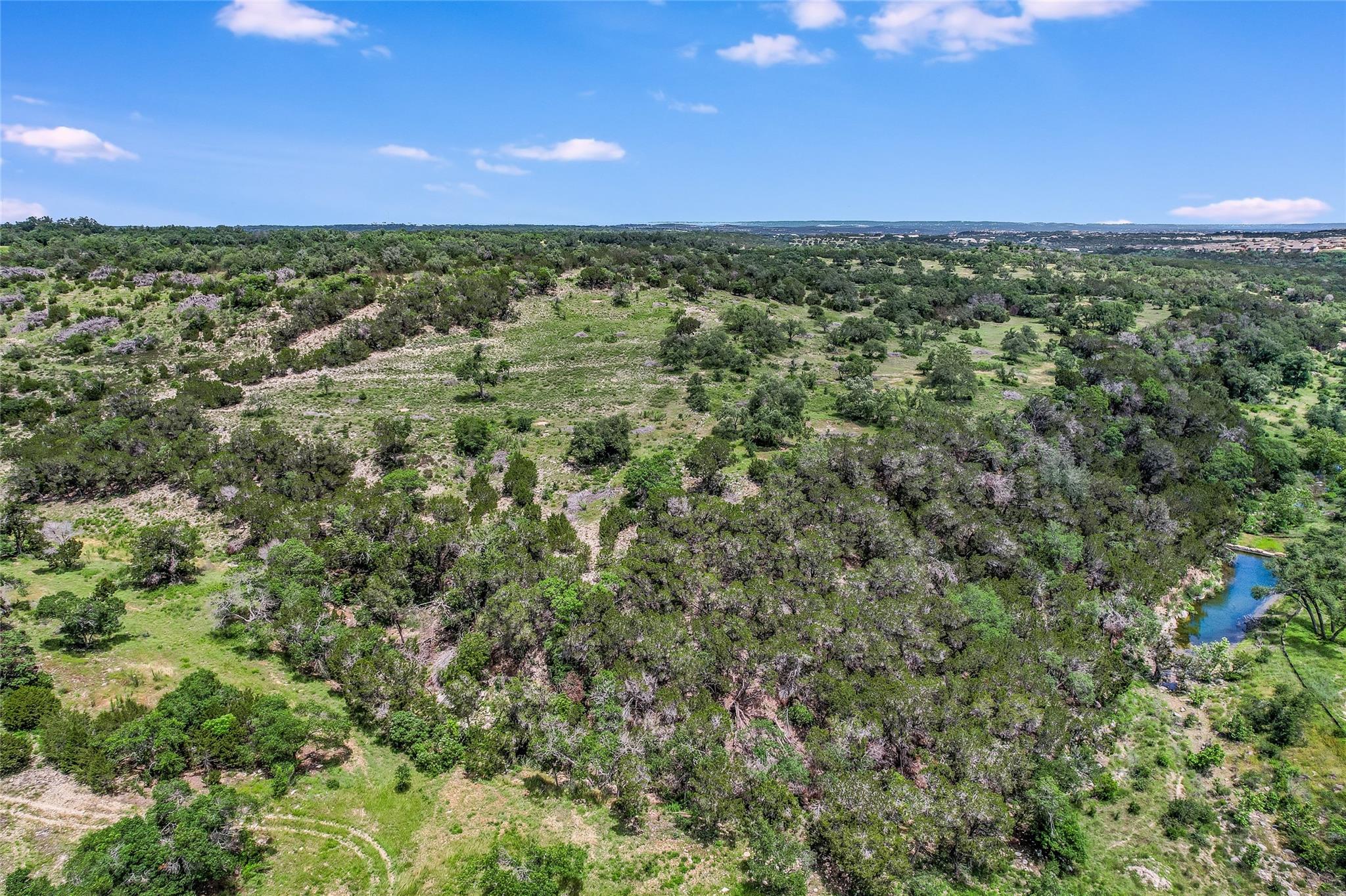 8 Newman DR