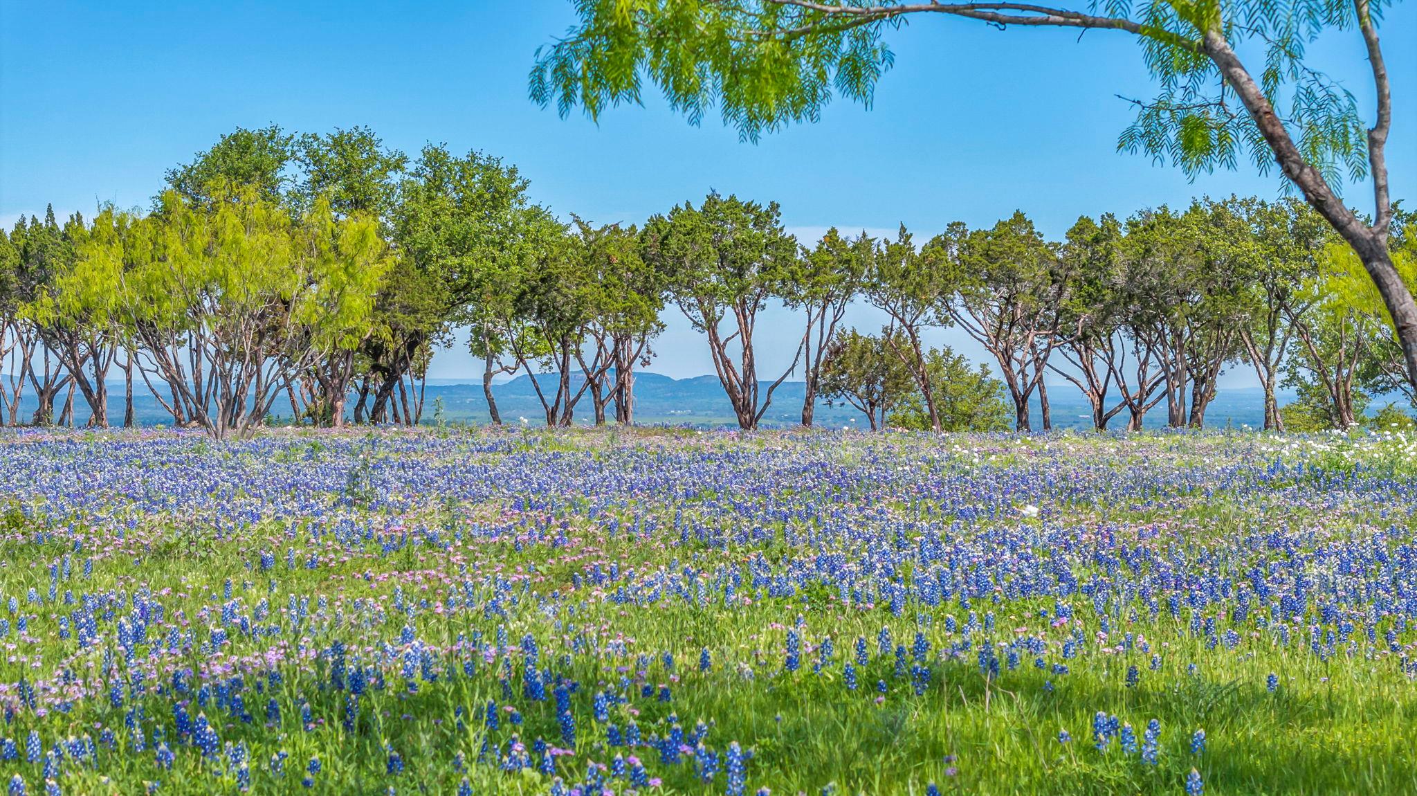 3531 RR 3347 - LOT 11