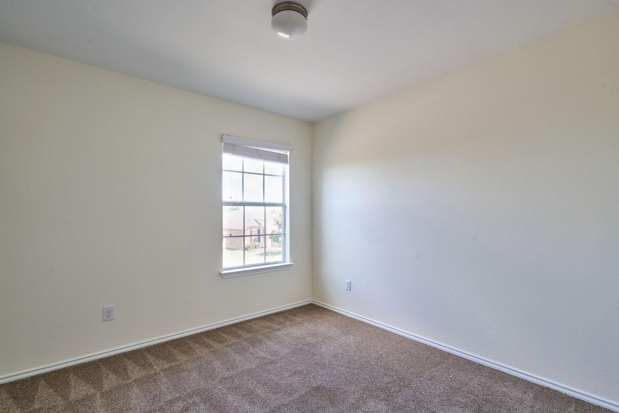 233 Stella Gold ST