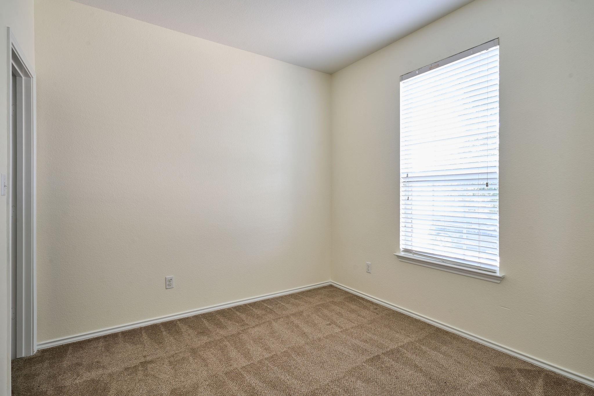 233 Stella Gold ST
