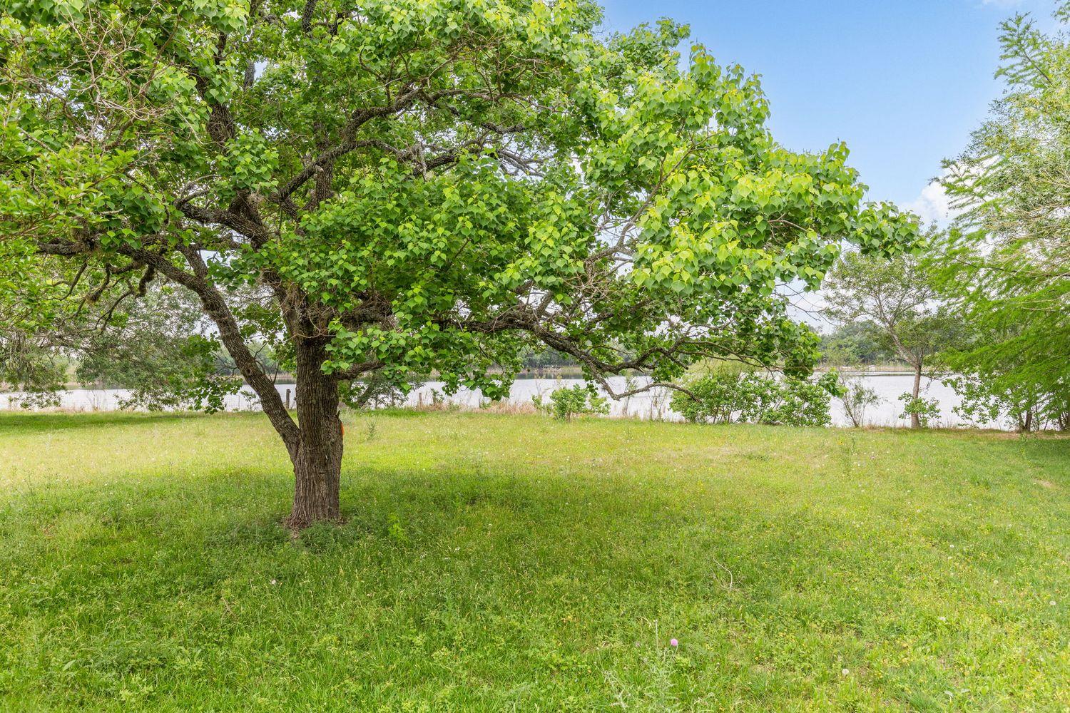 907 Horace Howard DR