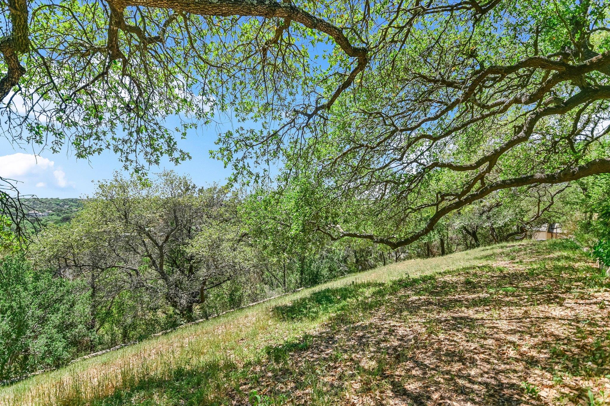 4907 Bull Mountain CV