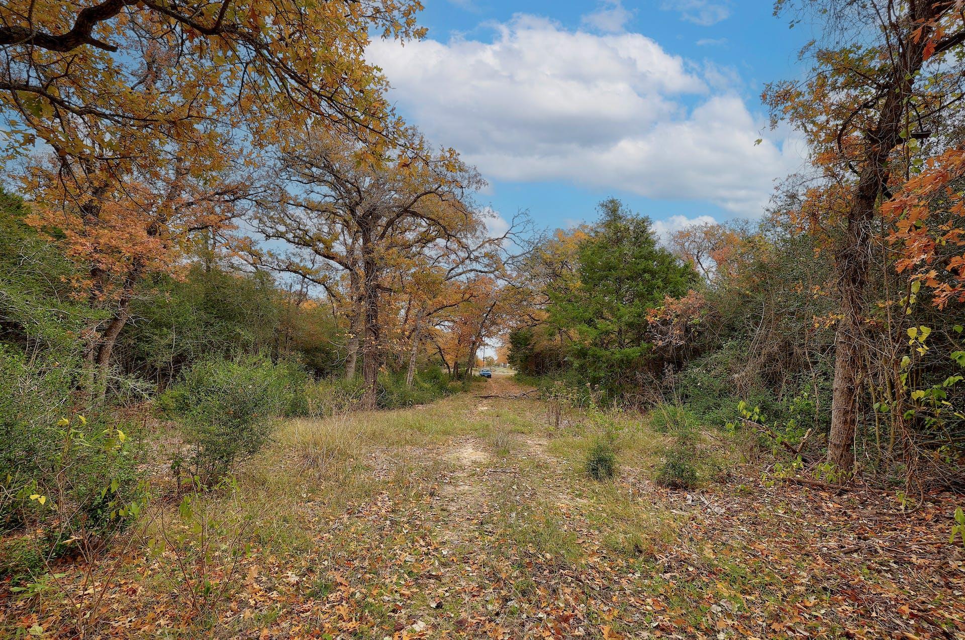 1563 County Road 312 RD