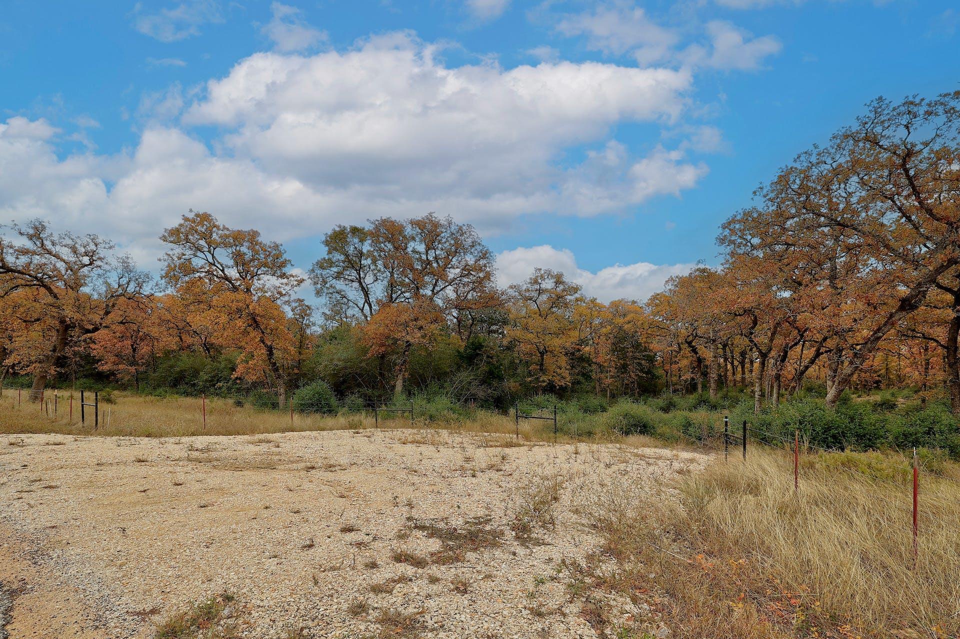 1563 County Road 312 RD