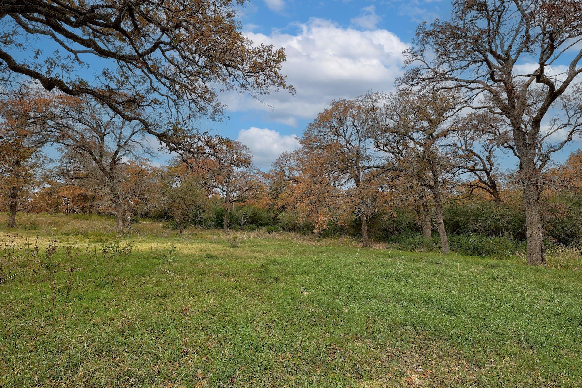 1563 County Road 312 RD
