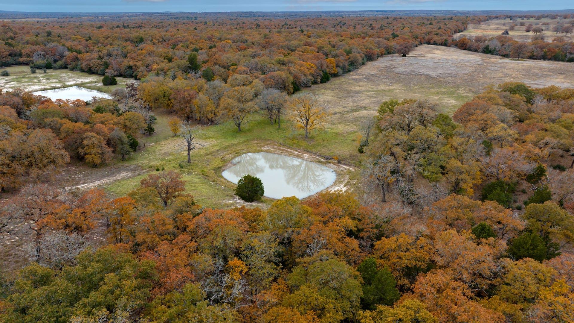 1563 County Road 312 RD