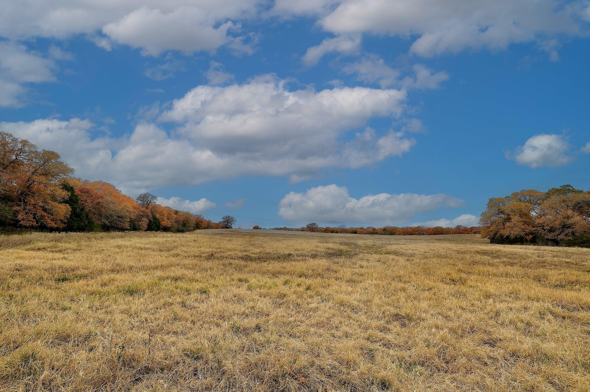 1563 County Road 312 RD