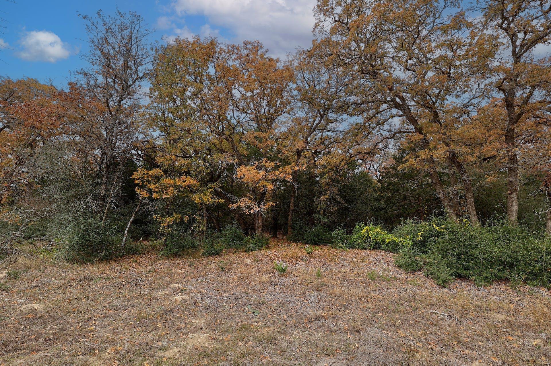 1563 County Road 312 RD