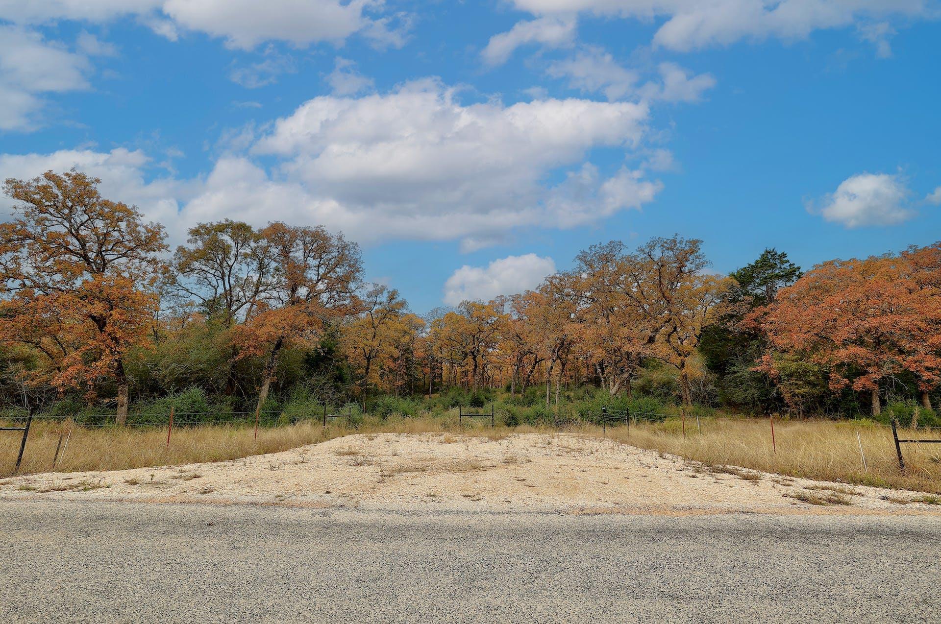 1563 County Road 312 RD