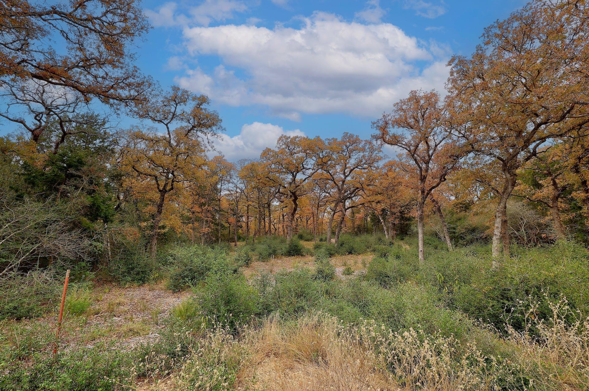 1563 County Road 312 RD