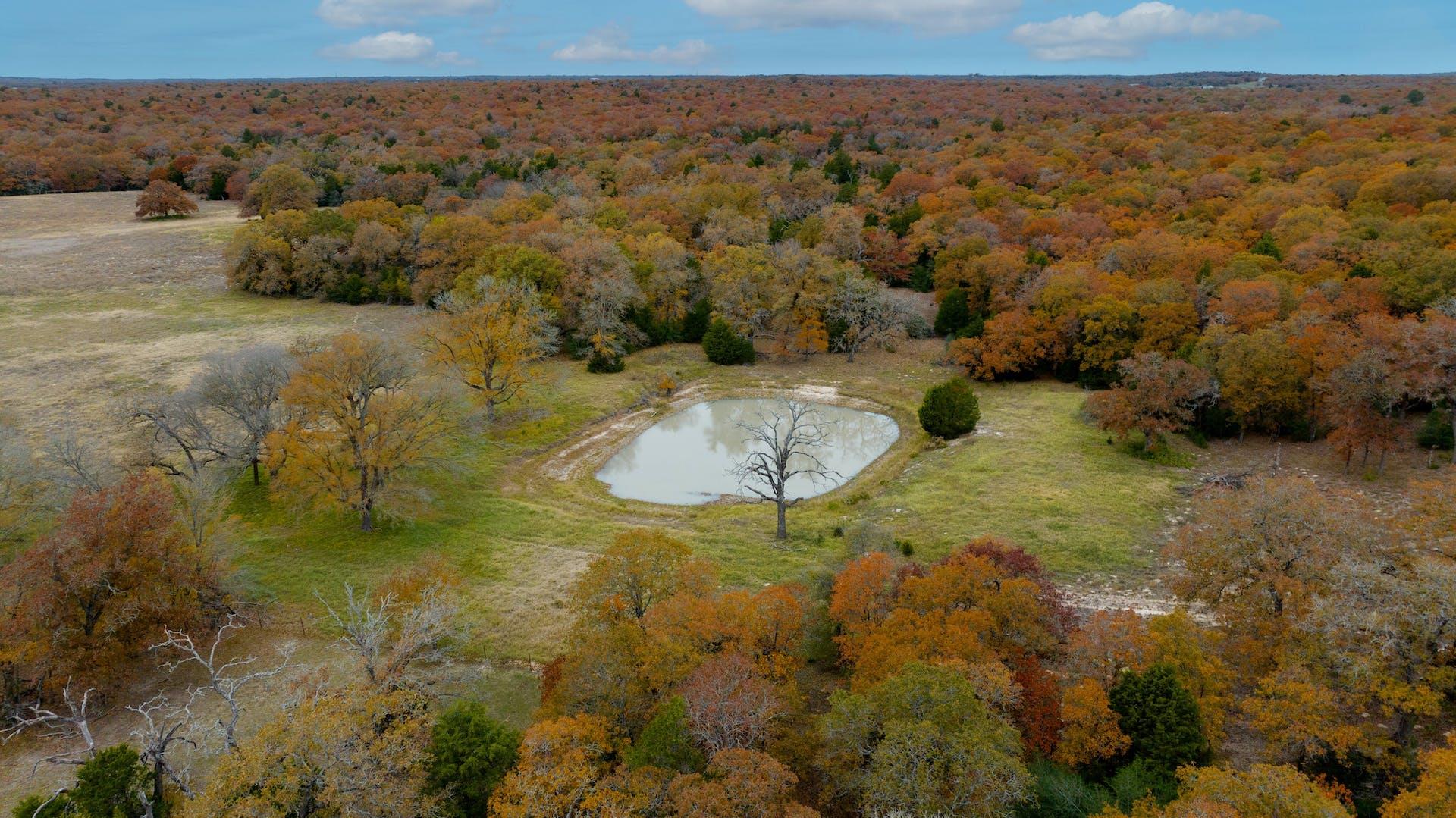 1563 County Road 312 RD